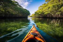 Wonders Of Port Blair